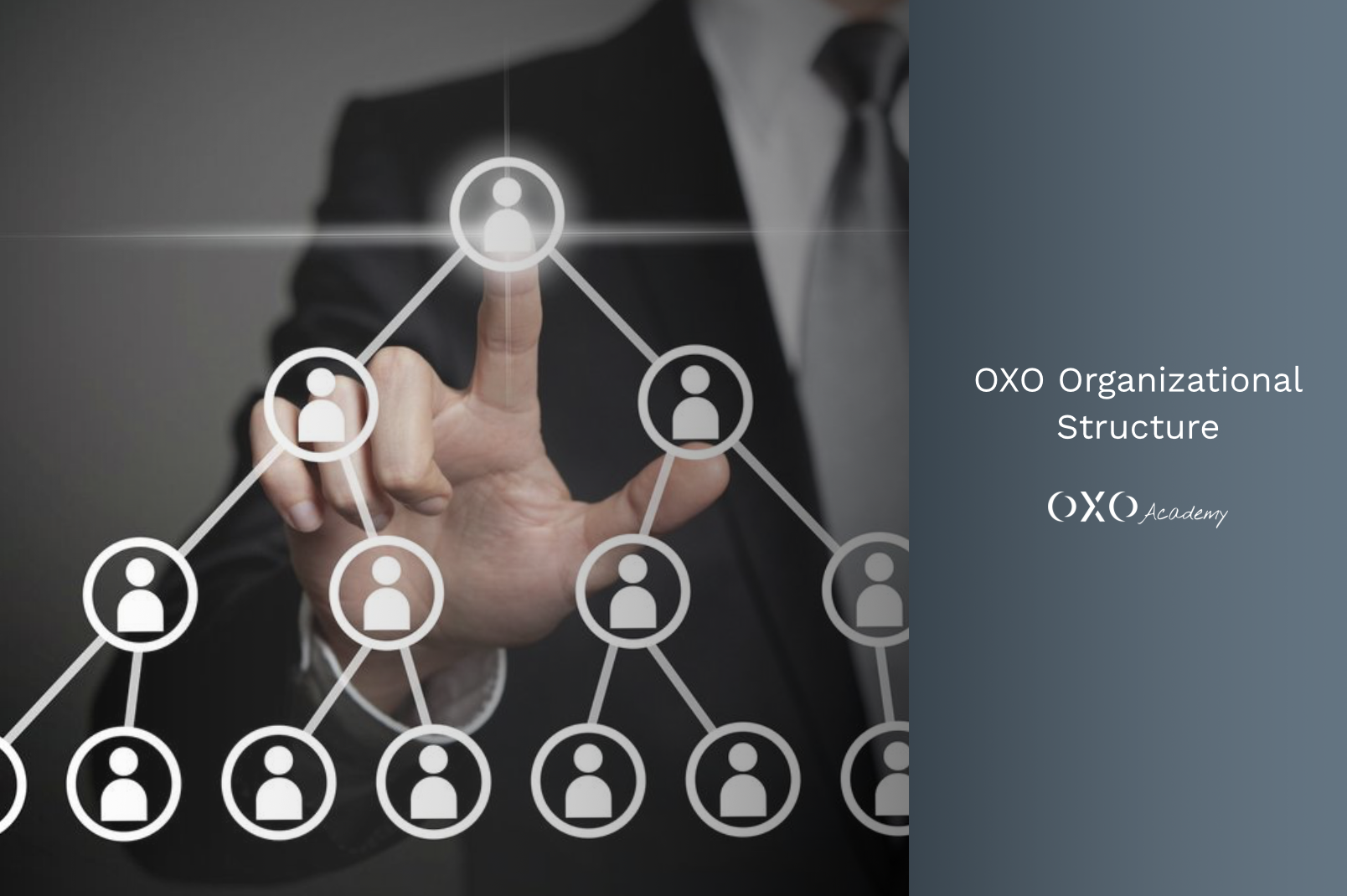 OXO Organizational Structure